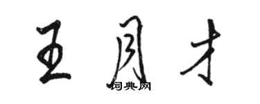 骆恒光王月才行书个性签名怎么写