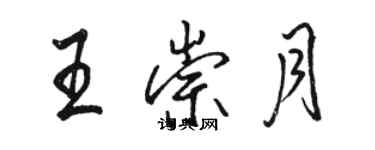 骆恒光王崇月行书个性签名怎么写