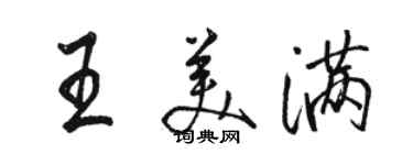 骆恒光王美满行书个性签名怎么写