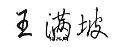 骆恒光王满坡行书个性签名怎么写