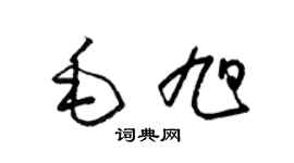梁锦英毛旭草书个性签名怎么写