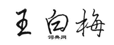 骆恒光王白梅行书个性签名怎么写