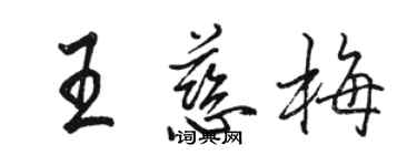 骆恒光王慈梅行书个性签名怎么写