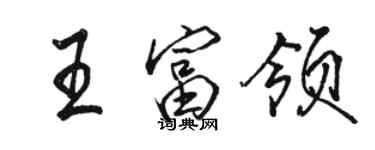 骆恒光王富领行书个性签名怎么写
