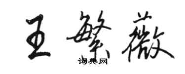 骆恒光王繁薇行书个性签名怎么写