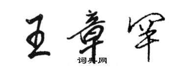 骆恒光王章罕行书个性签名怎么写