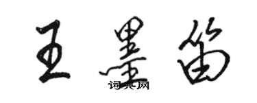 骆恒光王墨笛行书个性签名怎么写
