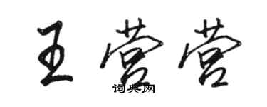 骆恒光王营营行书个性签名怎么写