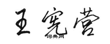 骆恒光王宪营行书个性签名怎么写