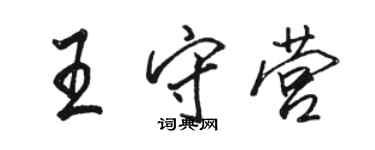 骆恒光王守营行书个性签名怎么写