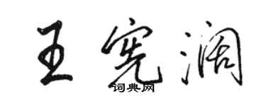 骆恒光王宪阔行书个性签名怎么写