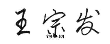 骆恒光王宗发行书个性签名怎么写