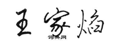 骆恒光王家焰行书个性签名怎么写