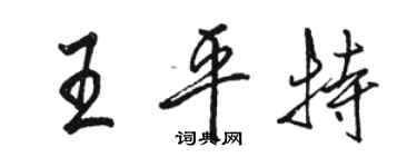 骆恒光王平特行书个性签名怎么写