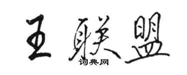 骆恒光王联盟行书个性签名怎么写