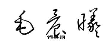 梁锦英毛晨曦草书个性签名怎么写