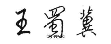 骆恒光王蜀冀行书个性签名怎么写