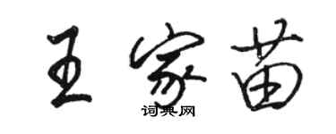 骆恒光王家苗行书个性签名怎么写