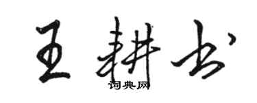 骆恒光王耕书行书个性签名怎么写