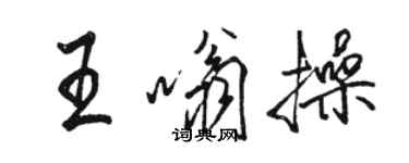 骆恒光王嗡操行书个性签名怎么写