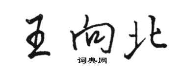 骆恒光王向北行书个性签名怎么写