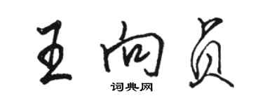 骆恒光王向贞行书个性签名怎么写