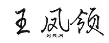 骆恒光王凤领行书个性签名怎么写