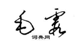 梁锦英毛霞草书个性签名怎么写