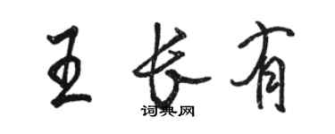 骆恒光王长有行书个性签名怎么写