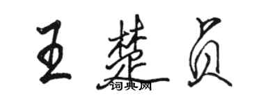 骆恒光王楚贞行书个性签名怎么写