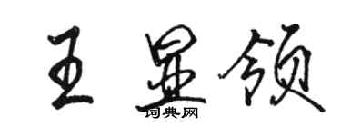 骆恒光王显领行书个性签名怎么写