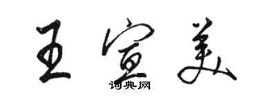 骆恒光王宣美行书个性签名怎么写