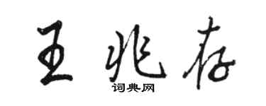 骆恒光王兆存行书个性签名怎么写