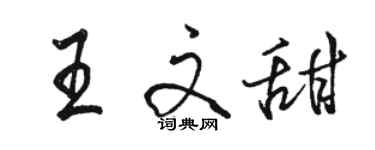骆恒光王文甜行书个性签名怎么写