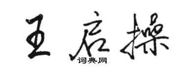 骆恒光王启操行书个性签名怎么写