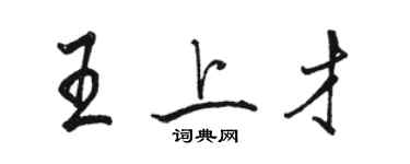 骆恒光王上才行书个性签名怎么写