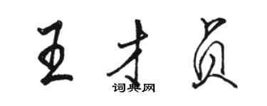 骆恒光王才贞行书个性签名怎么写