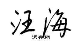王正良汪海行书个性签名怎么写