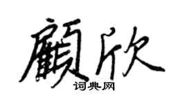 王正良顾欣行书个性签名怎么写