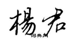 王正良杨君行书个性签名怎么写