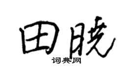 王正良田晓行书个性签名怎么写