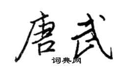 王正良唐武行书个性签名怎么写