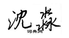 王正良沈淼行书个性签名怎么写