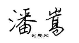 王正良潘嵩行书个性签名怎么写