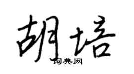 王正良胡培行书个性签名怎么写
