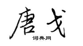 王正良唐戈行书个性签名怎么写