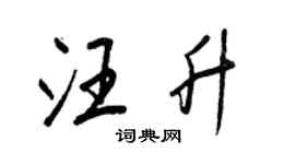 王正良汪升行书个性签名怎么写