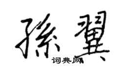 王正良孙翼行书个性签名怎么写