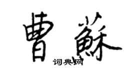 王正良曹苏行书个性签名怎么写
