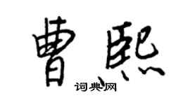 王正良曹熙行书个性签名怎么写